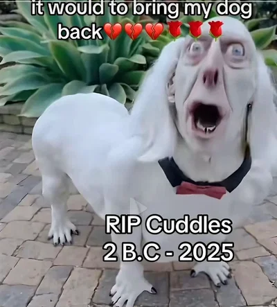 IMPORTANT RAAHGGG