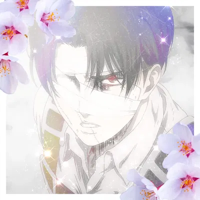 ✦ Levi Ackerman ✦