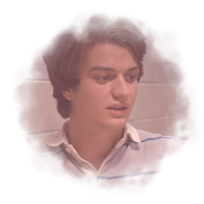⋮ ⌗ ┆ steve harrington