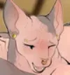Jasmine (Hot sphynx mommy 😍)