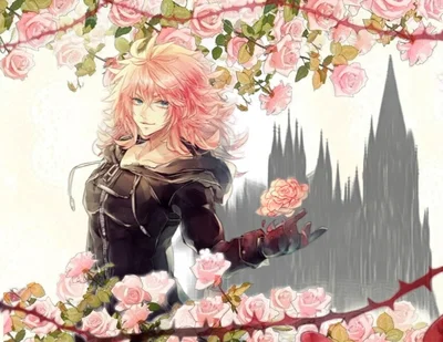  ̊˖𓍢ִ໋❤︎ Marluxia  ִֶָ🔞་༘࿐