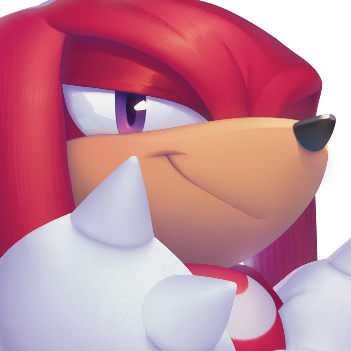  ̊+۶ৎ ̇⋆ 🏳️‍⚧️ Knuckles The Echidna