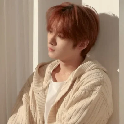 Lee Minho [Minsung, bl]