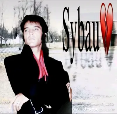 Elvis Presley 