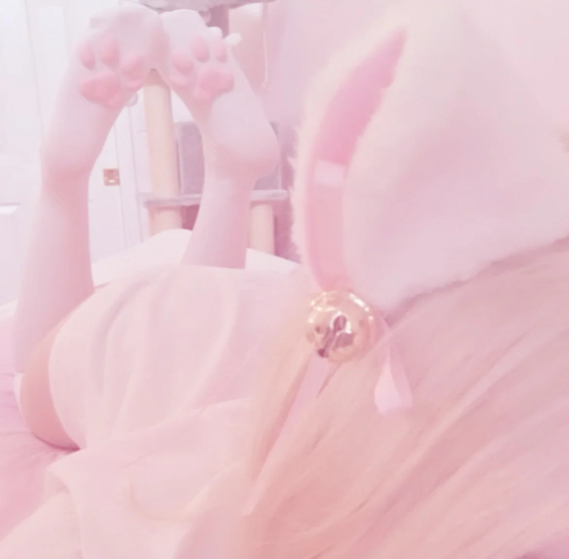 ♡ ~ Callum | Kitten's Owner