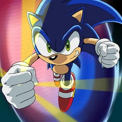 Vs. Sonic The Hedgehog