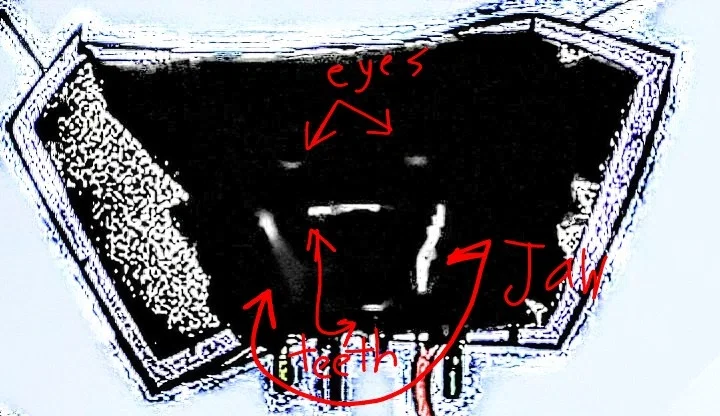 I'm revealing the mystery of Mr thriller tenna himself.