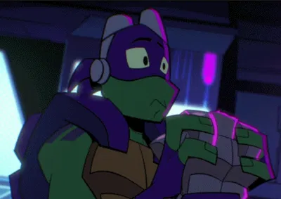 Donatello Hamato- 30 Follower special