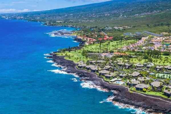 You're Invited to Sprigatito Island!