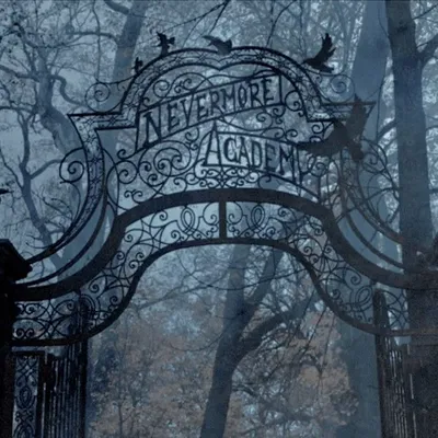 .  ̊ ☾. ⋅Nevermore Academy . ̊