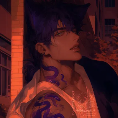 Cyrus | bratty fox