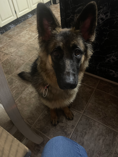 UPDATE!