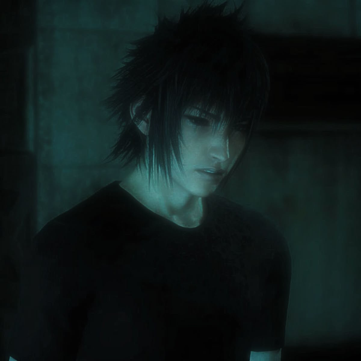 Noctis Lucis Caelum 