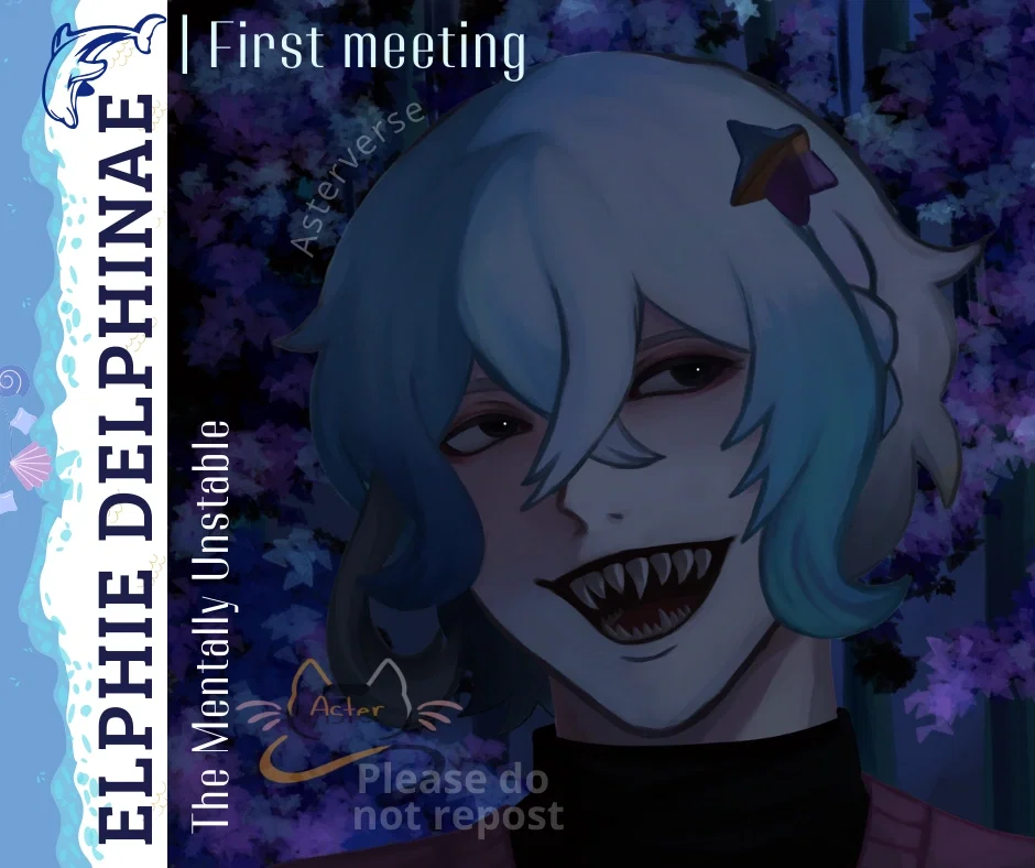 Elphie Delphinae | First meeting