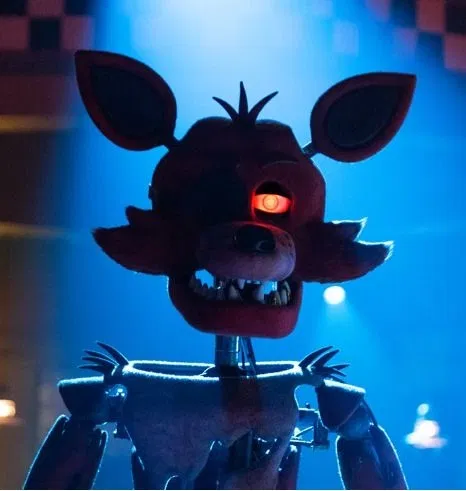 Piracy with Foxy the pirate fox