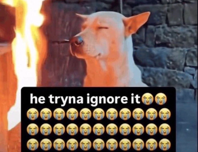 I won’t be dropping for two weeks
