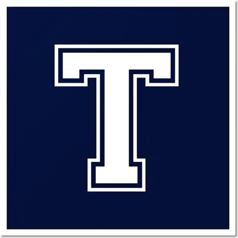 Letter T pfp Theory
