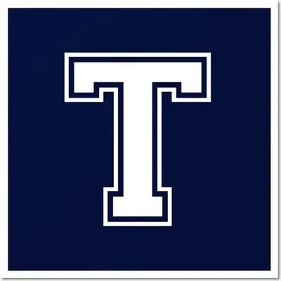 Letter T pfp Theory