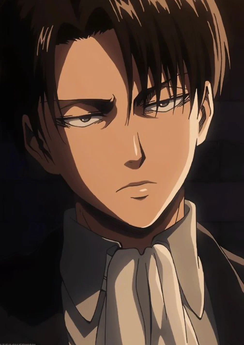 AOT - Levi Ackerman 