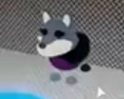 Susgacdcdbfvvxfbtnsbd dvhdusk