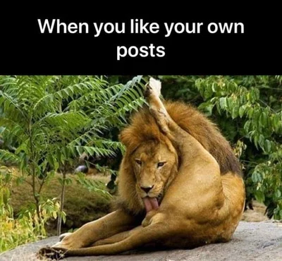"King Of the Jungle" (lol)