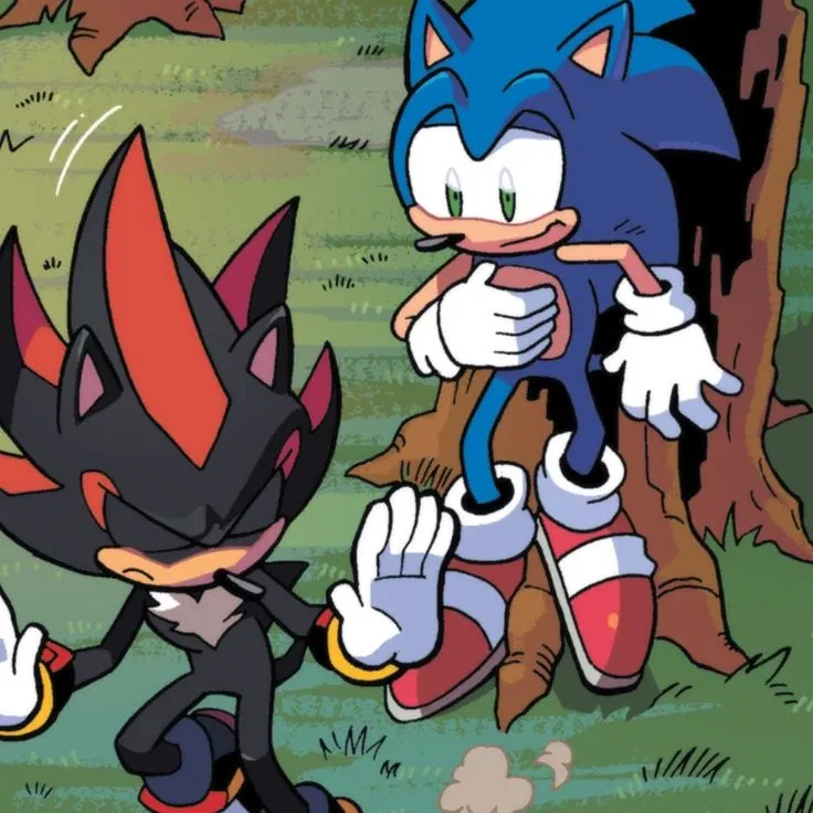 Shadow & Sonic