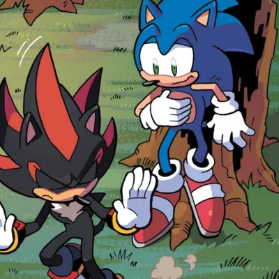 Shadow & Sonic
