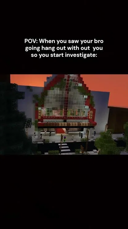 Soopix—investigation