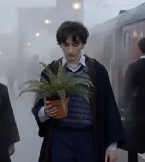 Neville Longbottom