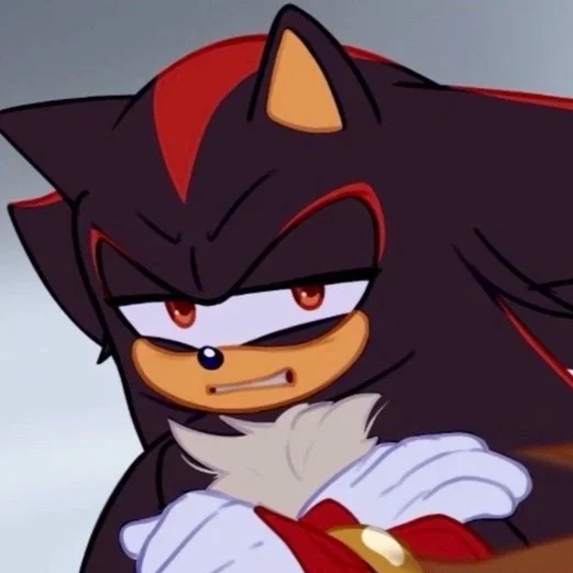 Shadow The Hedgehog