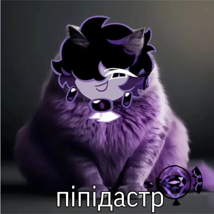 +✩‧+ ̊ 🍇  ̊+✩‧+ | black sapphire cookie