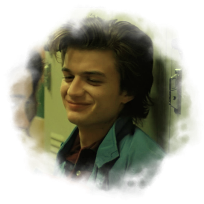 ⋮ ⌗ ┆   steve   harrington