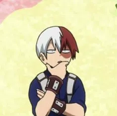 MHA - Shoto Todoroki