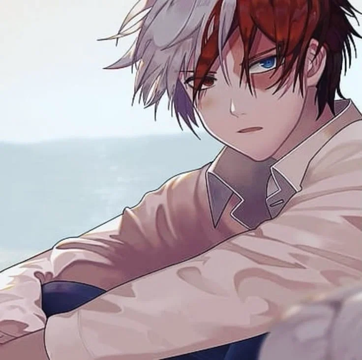 Shoto Todoroki