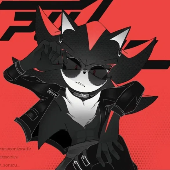 Shadow The Hedgehog