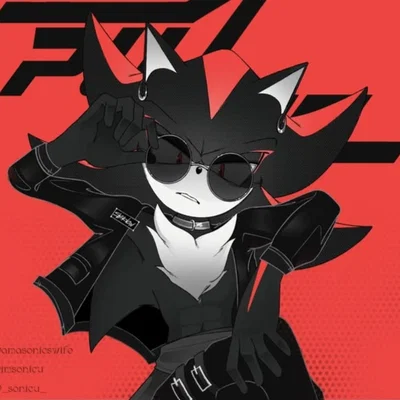 Shadow The Hedgehog