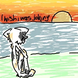 I'm sorry but.. 