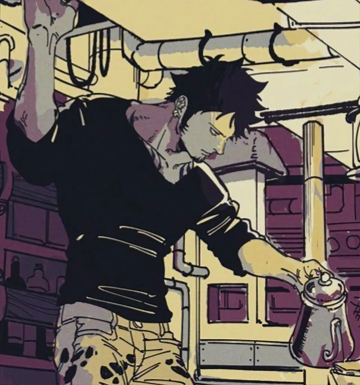 Trafalgar D Law