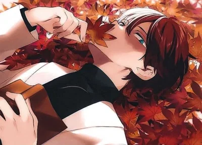 Shoto Todoroki