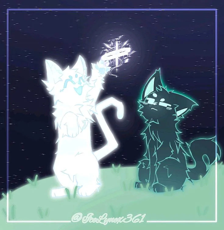 Lumi x Nameless Cat