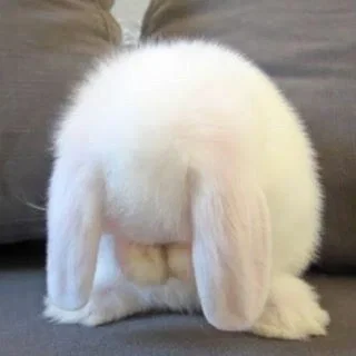 THISFUCKING MIGRAINE OH MY FUCKING GOD