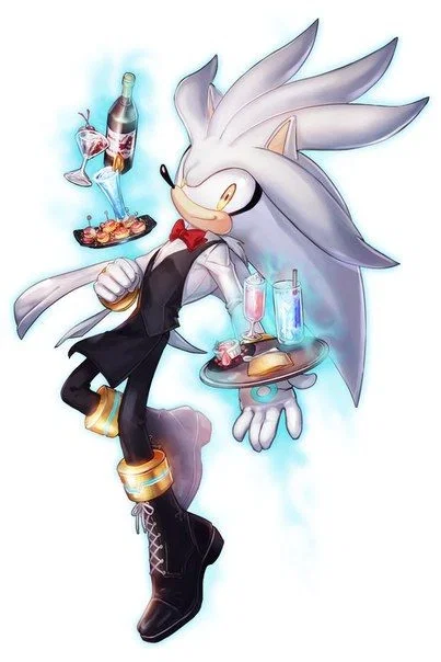 ✦ ⌇ Silver The Hedgehog ⌇ ✦