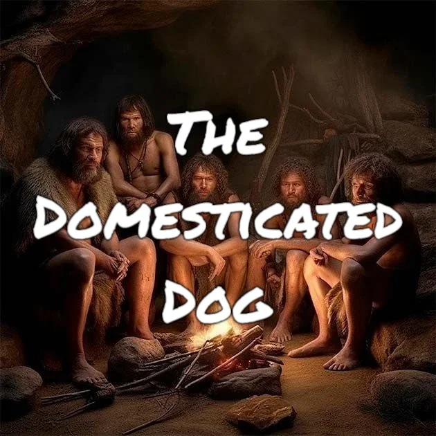 # The Domesticated Dog / Early Humans