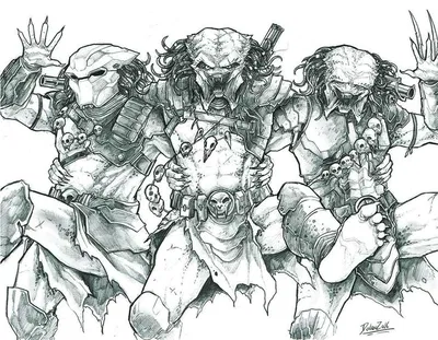 They   the prey 