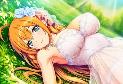 Gourmet Guild × Twinkle Wish
