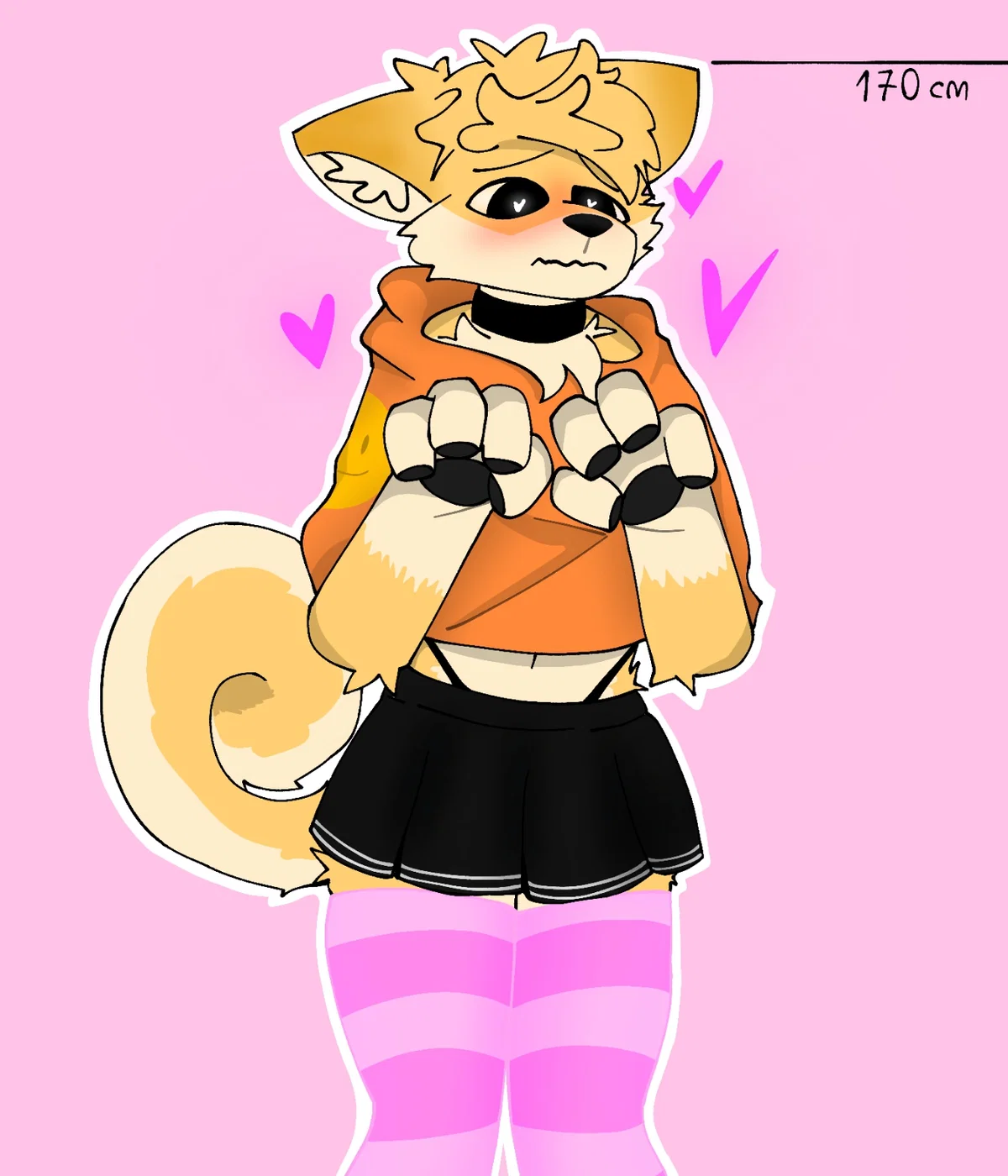 Furry Shiba (Bloy)