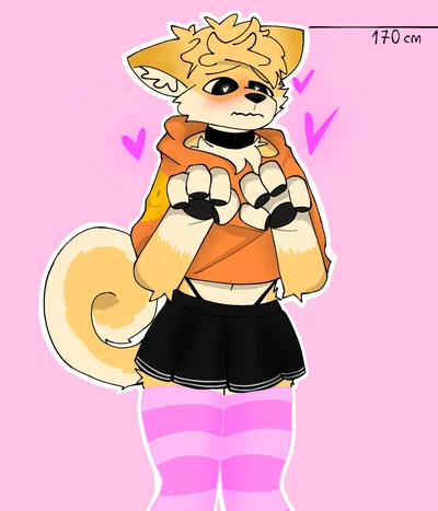 Furry Shiba (Bloy)