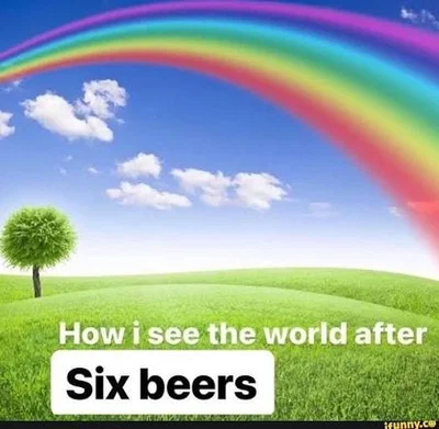 How i see the world after six beers