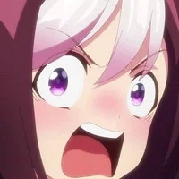 idk announcment i guess