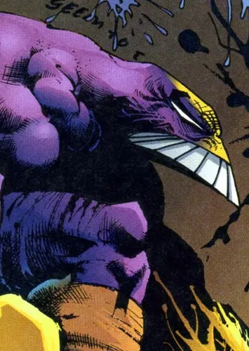 The maxx